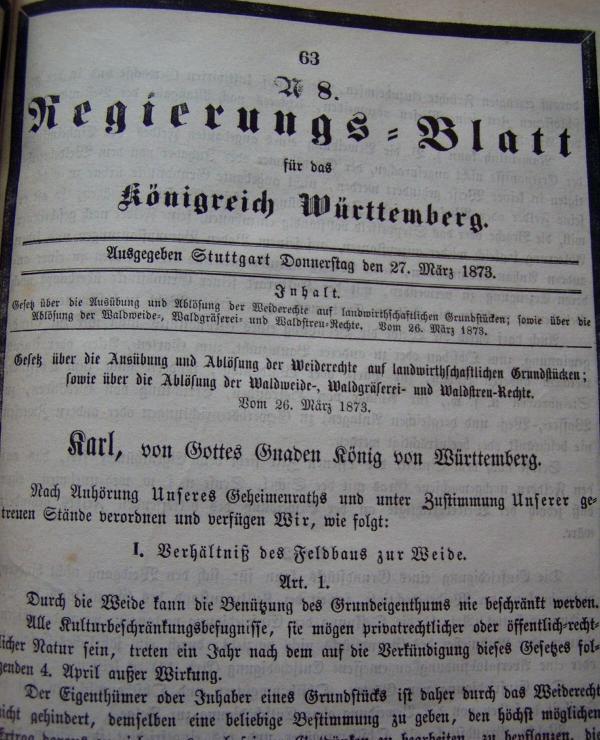 Regierungsblatt Königreich Württemberg 1873 Gesetze Kaiser König 