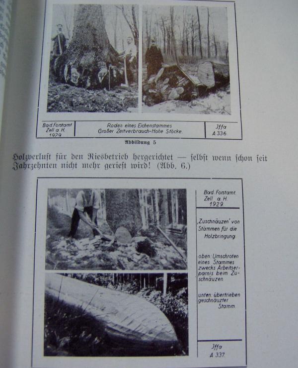   Arbeitswissenschaft 1930 Förster Jäger Wild Wald Jagd Forst Holz